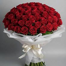 Букет 101 Красная роза Блэк Мэджик в Тбилисской