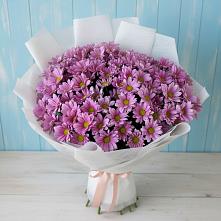 Букет цветов из:  Хризантемы в Тбилисской