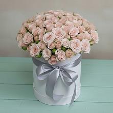 Цветочная композиция из Розы в шляпной коробке #REPLACE_PRED# Тбилисской