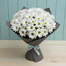Букет цветов из:  Хризантемы в Тбилисской