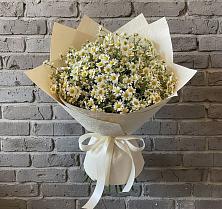 Букет цветов из:  Ромашки в Тбилисской