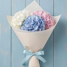 Букет цветов из:  Гортензия #REPLACE_PRED# Тбилисской