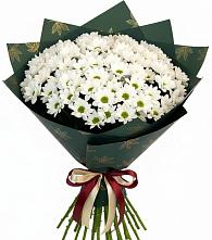 Букет цветов из:  Хризантемы #REPLACE_PRED# Тбилисской