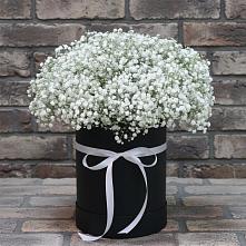 Цветочная композиция из Гипсофила в шляпной коробке в Тбилисской
